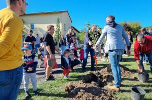 Des arbres plantés pour fêter les naissances dans la commune de Cussac-sur-Loire.