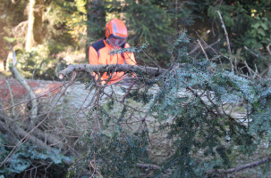 L'accident mortel a eu lieu en 2016 dans un bois de Chanteuges.