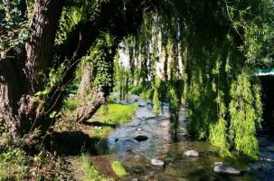 Les berges du Dolaizon à Vals.