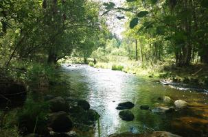 Le Lignon au pont de l'enceinte à Yssingeaux.