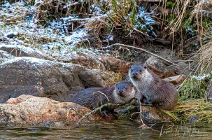 Une merveilleuse rencontre sur les bords du fleuve. 