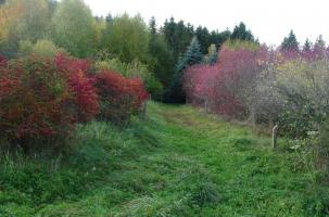 Arboretum de Charvols