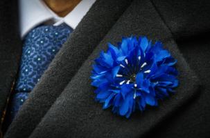 Le bleuet de France