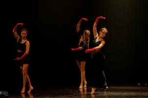 Les trois écoles de danse du Puy-en-Velay ont présenté un spectacle commun.