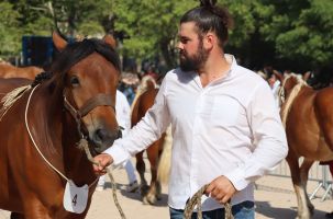 Les concours de chevaux lourds attirent à chaque fois un dense public en Haute-Loire.