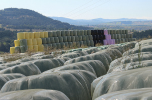 Les plastiques... véritable fléau pour la nature. 