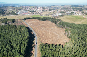 Des centaines d'arbres ont été coupés...pour rien. Un gâchis de 11 hectares.