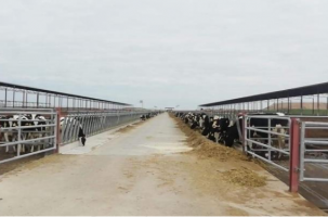 Les apprentis ont visité l'une des plus grandes fermes d'Espagne "Granja San José".