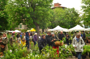 Les amateurs de fleurs réunis dans l'unique Jardin Remarquable du département. 