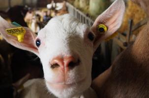 Les agriculteurs en Haute-Loire, une richesse pour tout le département.