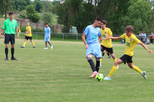 Les arbitres pourront utiliser le carton blanc