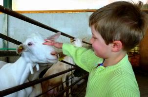 De ferme en ferme c'est l'occasion de rencontrer les producteurs et les animaux.