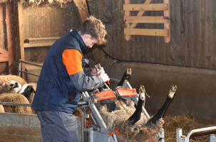 Une manucure un peu spéciale : la parure des onglons