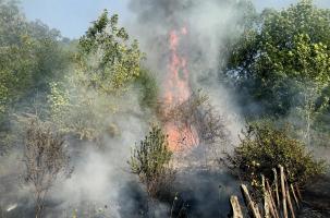 12 hectares sous les flammes aux portes du Puy-en-Velay.
