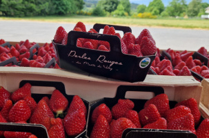Des fruits qui annoncent leur retour tant attendu du soleil. 