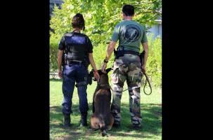 Diverses spécialités sont possibles en tant que Gendarme Adjoint Volontaire.