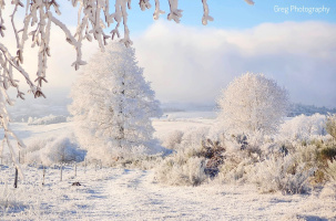 Cette nuit du 6 janvier 2026 a transformé la Haute-Loire en un royaume glacé. 