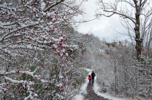 La neige recouvre la Haute-Loire.