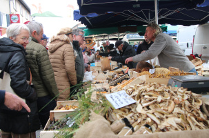 Les étals sont garnis de champignons