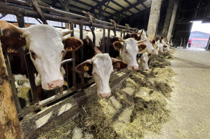 La FNE 43 pour une agriculture extensive