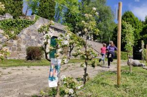 Des fruitiers ont été plantés à l'automne 2021 au jardin Viscomte de Vals.