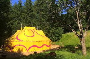 La ferme à l'envers met à disposition son terrain pour le K-fé cirk.