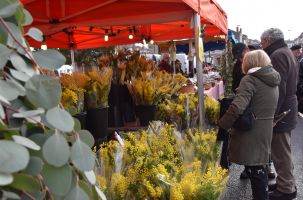 Foire de la Sainte-Paule