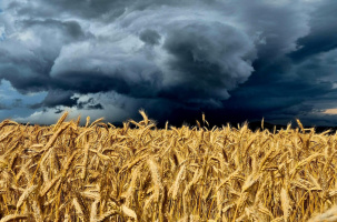 La Haute-Loire  : Vigilance orange pour la pluie et jaune pour les crues en conséquence. 