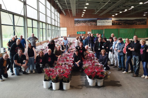 Les bénévoles sont déjà au travail pour préparer les roses