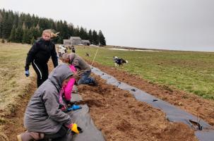 Les écoliers de Saint-Front ont été efficaces dans leurs plantations.
