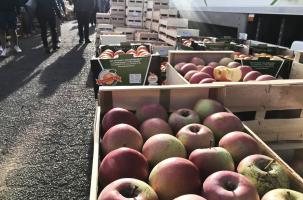 3.5 tonnes de pommes sont issues des pommiers de Polignac pour l'occasion.