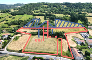 Près de trois hectares sont à vendre au Monteil pour y aménager un lotissement privé. 