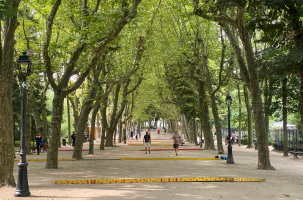 Le parc Henri Vinay quadrillé pour l'événement