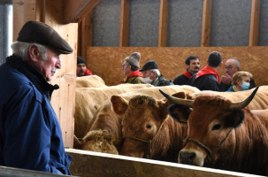 L'excellence de la production française VS des produits étrangers moins chers, sans normes