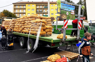Les centaines de tonnes de la fête de la patate arrivent.