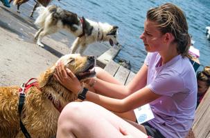 Heureux comme un chien dans l'eau