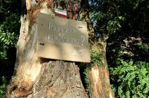 Un panneau a été apposé contre l'un des arbres scarifiés le long de la Borne. 