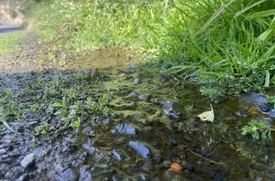 L'eau proviendrait d'une vanne défectueuse dans le château d'eau de Vals-près-Le-Puy.