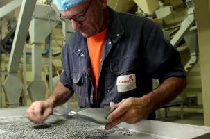 L'avenir de la lentille verte du Puy compromis si rien n'est fait.