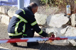 Les guêpes ont dû être sulfatées pour éviter un accident lors de la fête de la bio.