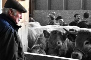 Une profession et ses acteurs à l'agonie dans le monde de l'agriculture. 