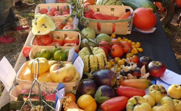 Le bien manger... Une réflexion essentielle dans l'arène des municipales de 2026.