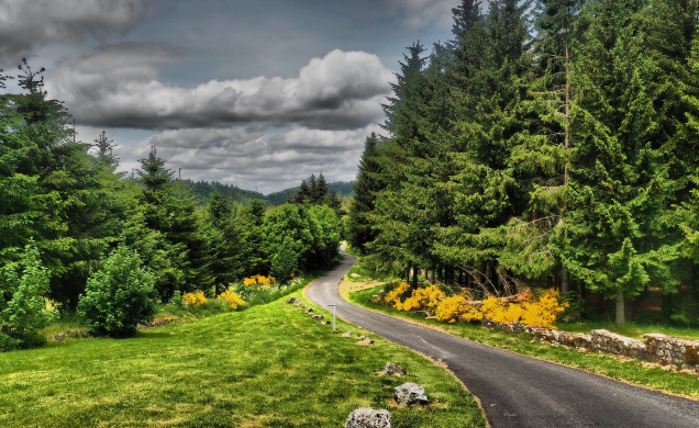 La forêt peut s'avérer être une source de tensions, si mal utilisée. 