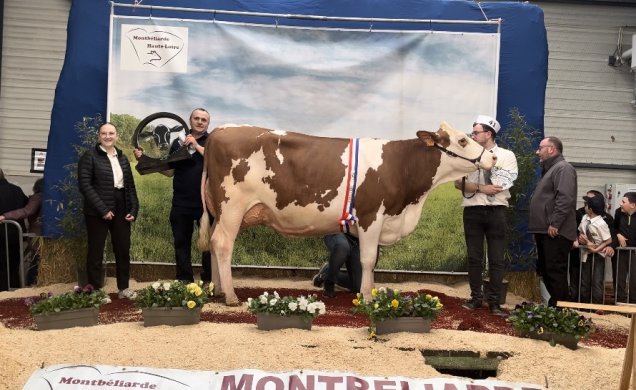 "Solution" fut la grande gagnante de l'élection Miss Montbéliarde Haute-Loire 2024.