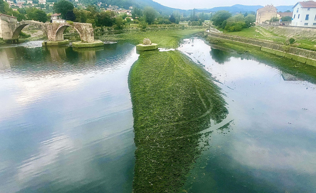 Un visage insolite de la Loire dans le corps de Brives-Charensac. 
