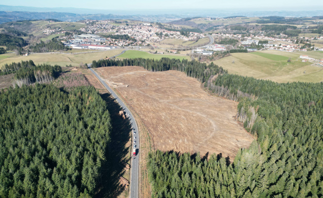 Plus de 4 000 arbres ont été coupés pour la création d'une ZA pas encore certaine.