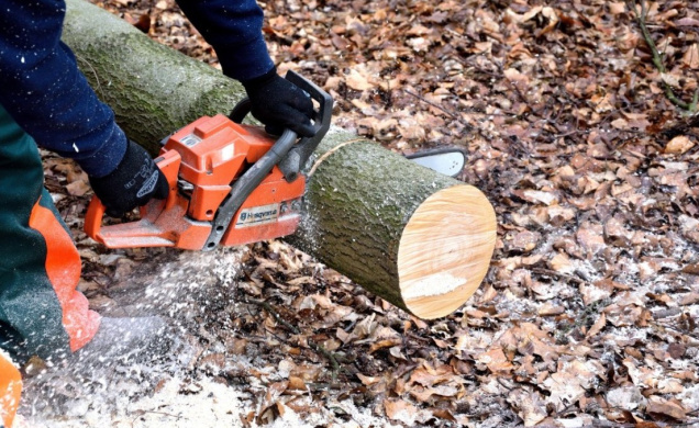 Photo d'illustration