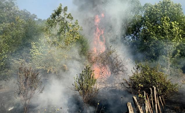 12 hectares sous les flammes aux portes du Puy-en-Velay.