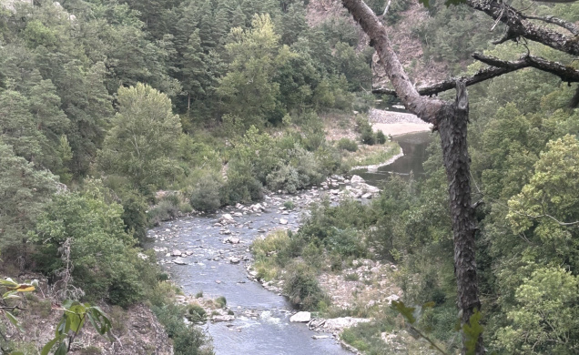 La Loire cet été 2026.