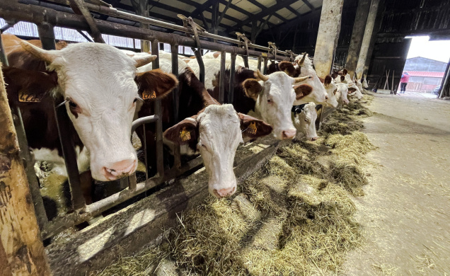 La FNE 43 pour une agriculture extensive